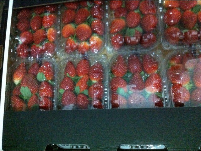 Our Products Gallery