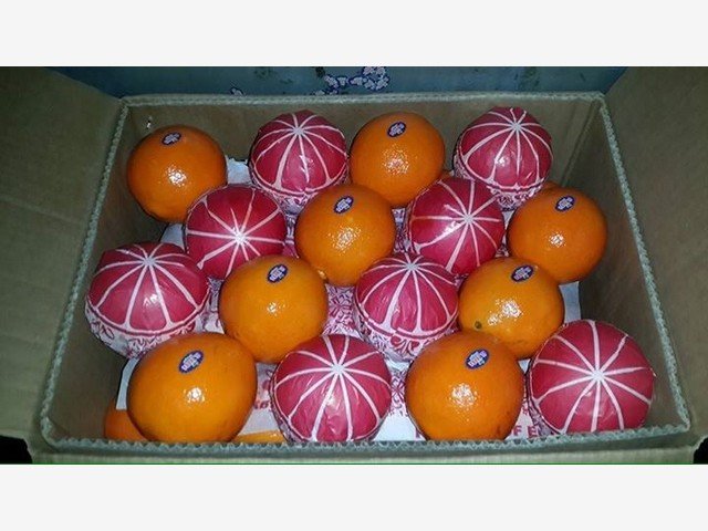 Our Products Gallery